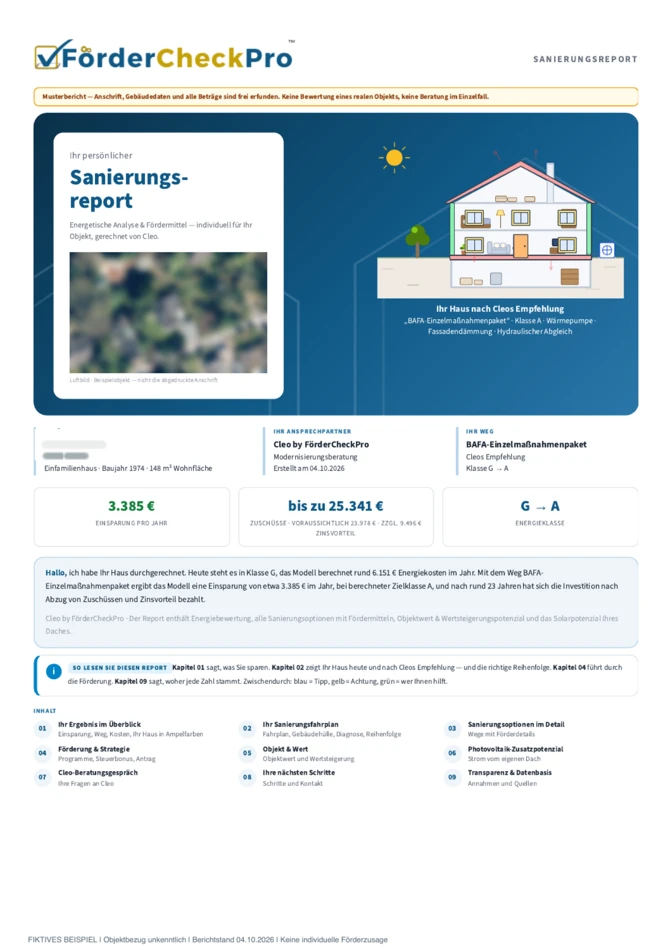 Originalseite 1 des Cleo-Musterreports: Deckblatt
